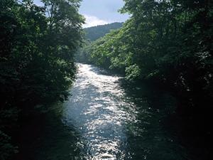 【公式】ホテル ヴィラフォンテーヌ グランド東京汐留の魅力と概要｜アクセスと特徴を徹底解説