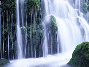 桜ゴルフで見つける理想のゴルフライフ!会員権購入からコース選びまでの完全ガイド