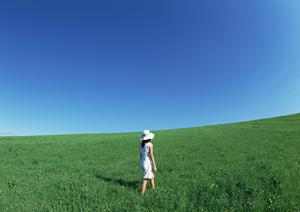 東横イン宇都宮駅前1の魅力と特徴｜快適な宿泊と便利なアクセスが評判のビジネスホテル