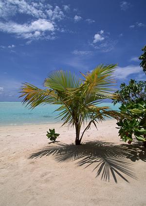神奈川県川崎市のビジネスホテル：東横INN川崎駅前砂子の魅力と詳細紹介