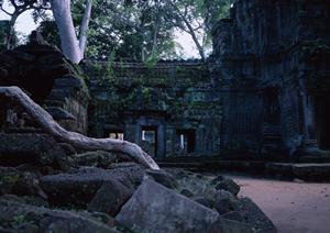 長崎県対馬市の絶景ビジネスホテル｜東横INN対馬比田勝の魅力と特徴を徹底解説