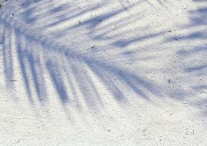 【公式】東横INN埼玉戸田公園駅西口｜快適なビジネスと観光をサポートする便利なホテル【最新情報・特徴と利点を徹底解説】