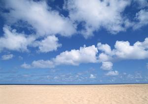 静岡市の贅沢なダイニング体験|クロスロード【公式】中島屋グランドホテル