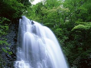 東横INN桐生駅南口：群馬県で快適なビジネス・観光拠点を提供する宿泊施設