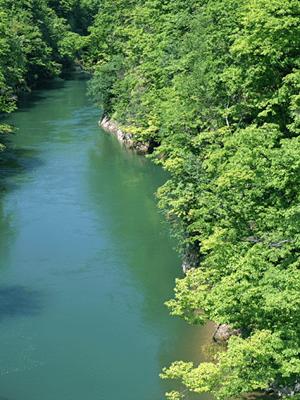 【公式情報公開】東横INN品川大井町：快適なビジネス・観光滞在を実現する最新ホテルの完全ガイド