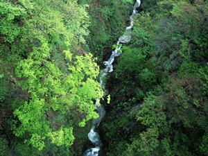 和歌山駅至近のビジネスホテル：東横INNJR和歌山駅東口の魅力と詳細解説
