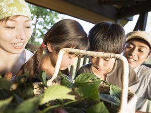 浅草橋駅近くの快適ビジネスホテル：東横INNアキバ浅草橋駅東口の魅力と詳細情報