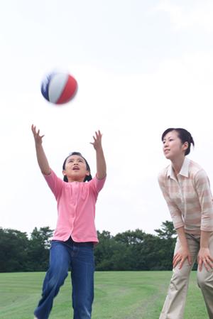 京都二条城の魅力と便利な宿泊施設：東横INN京都二条城南の詳細ガイド