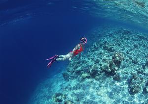 福島県西白河のビジネスホテル【東横INN新白河駅前】詳細徹底ガイド