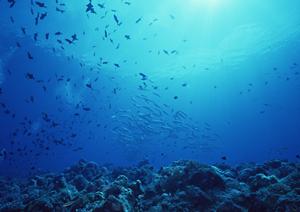 北海道札幌市中心部に位置する東横INN札幌駅北口：快適な滞在と便利なアクセスを実現するビジネスホテル