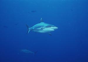 東京都台東区の快適な滞在を実現！東横INN浅草蔵前2の魅力と特徴