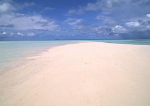 名古屋市中心部で便利なアクセス！東横INN名古屋丸の内の魅力と特徴