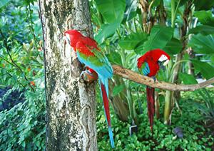 名古屋市中心部のビジネスホテル【東横INN名古屋栄】の魅力と詳細情報